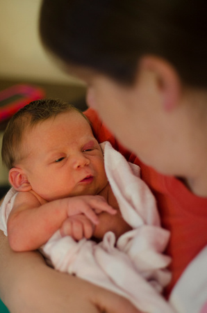 Newborn Photography, Annapolis