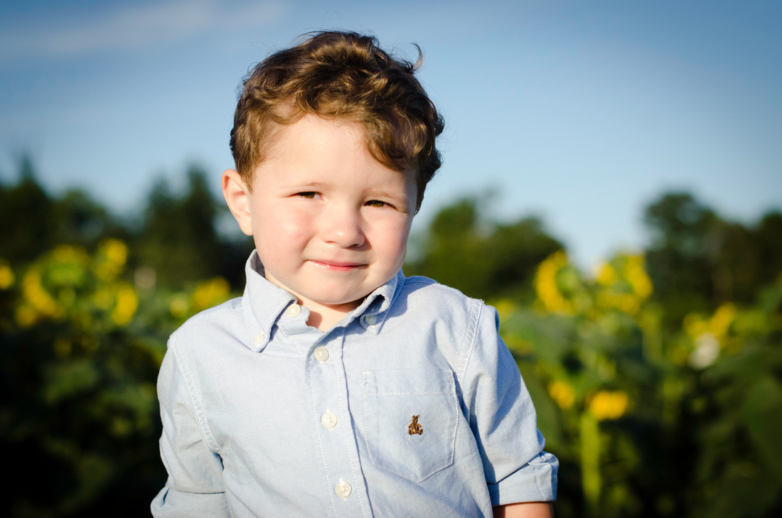 Family Portraits at Brooms Bloom Dairy Farm