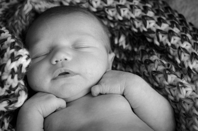 Newborn Photography, Annapolis