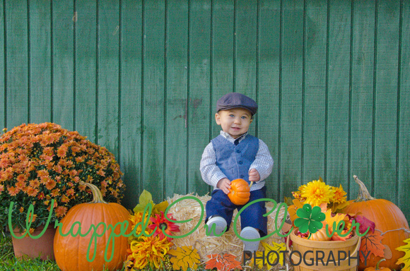 Kinder Farm Park  Millersville Maryland   Family Photographs    Wrapped in Clover Photography