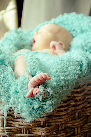 Newborn Photography, Annapolis