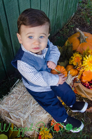 Kinder Farm Park  Millersville Maryland   Family Photographs    Wrapped in Clover Photography